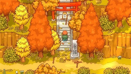 田舍的生活2.0桃子移植